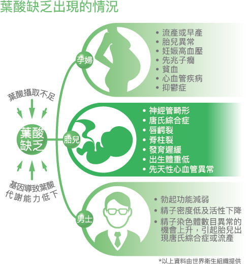 叶酸代谢基因检测