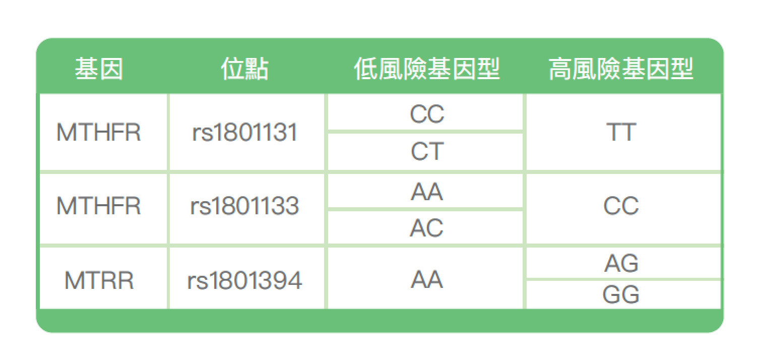 叶酸代谢基因检测