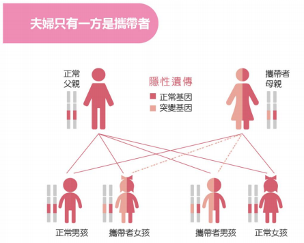 产前遗传病基因检测