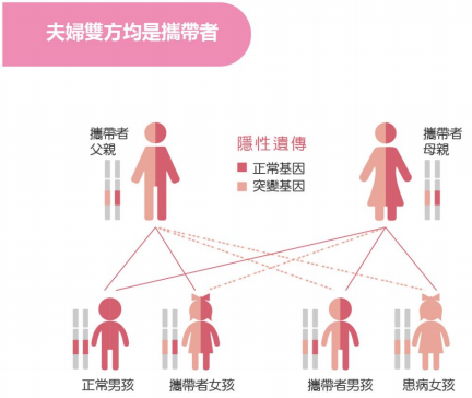 产前遗传病基因检测
